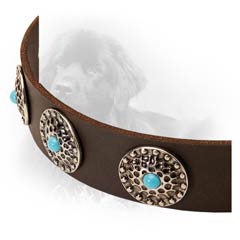 Leather Collar with Brass Decorations