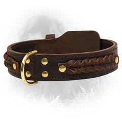 Leather Collar for Stylish Newfoundlands