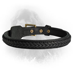 Leather Collar for Stylish Dogs