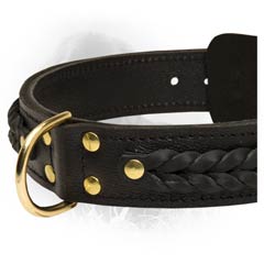 Fashionable Leather Collar