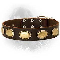 Newfoundland Dog Leather Collar Brass Plates
