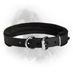 Leather Collar for Training Activiies