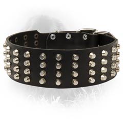 Original Leather Collar with Studs