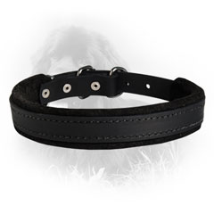 Padded Leather Collar for Active Dogs