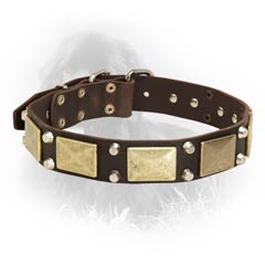 Stylish Leather Collar