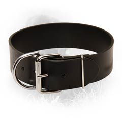 Durable Universal Leather Collar
