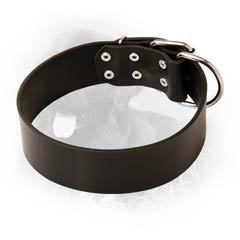 Leather Collar for Active Newfoundlands