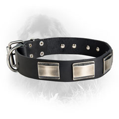 Newfoundland Dog Leather Collar Steel Nickel Plated Plates