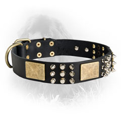 Original Leather Collar with Plates, Spikes and Studs