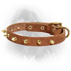 Newfoundland Dog Leather Collar Brass Spiked