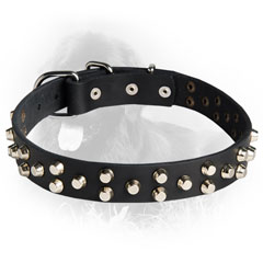 Fashionable Leather Collar