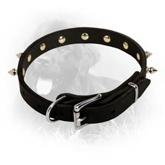 Newfoundland Dog Leather Collar Steel Nickel Plated Spikes