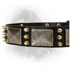 Leather Collar for Stylish Newfoundlands