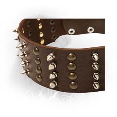 Handmade Decorated Leather Collar