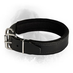 Extra Comfortable Leather Collar