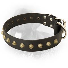 Studded Leather Collar