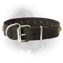 Leather Collar for Stylish Dogs