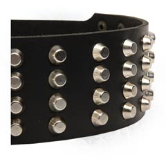 Trendy Leather Collar