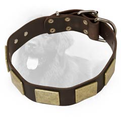 Fashionable Leather Collar