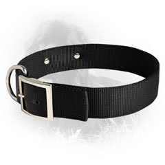 Nylon Collar with ID Tag