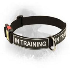 Nylon Collar for Obedience Training