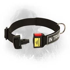 Nylon Collar With ID Patches