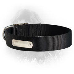 Durable Universal Nylon Collar