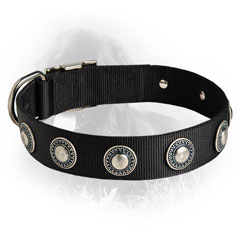 Newfoundland Dog Nylon Collar Steel Nickel Plated Conchos