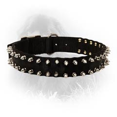 Newfoundland Dog Nylon Collar Steel Nickel Plated Spikes