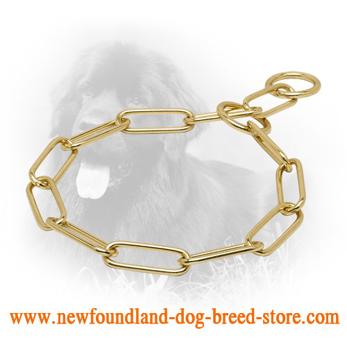Durable Brass Newfoundland Collar with Fur Saving Links