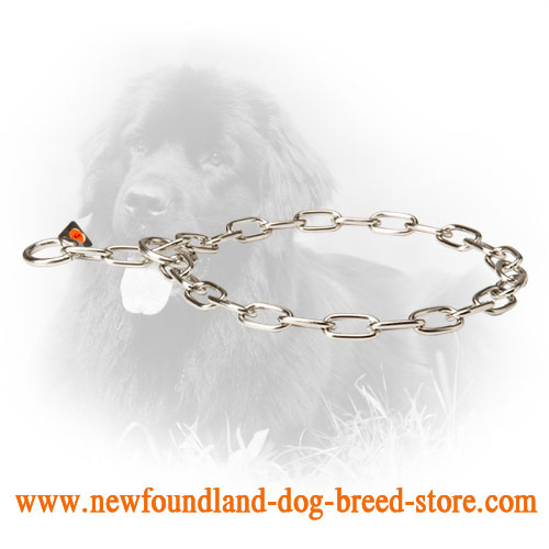 Newfoundland Fur Saver for Obedience Training