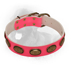 Newfoundland Leather Collar of Pink Color