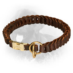 Golden Retriever Leather Collar Stylish Design