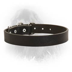 Newfoundland Dog Leather Collar For Easy Training  Activities
