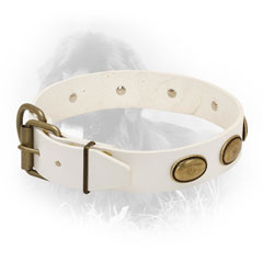 Newfoundland Leather Collar with Brass Buckle 