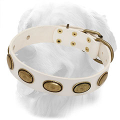 Newfoundland Leather Collar of White Color