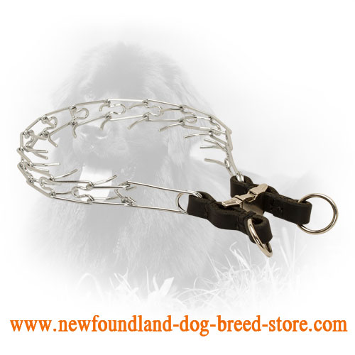 Strong Chrome Plated Newfoundland Prong Collar with Leather Part