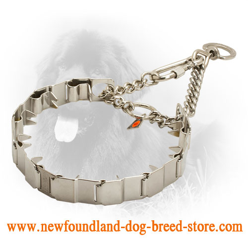Neck Tech Newfoundland Pinch Collar for Dog Training