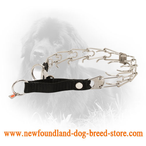 HS Newfoundland Pinch Collar with Nylon Loop