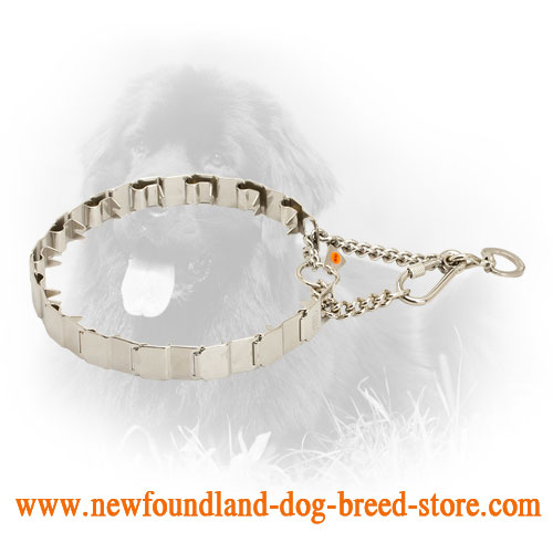 Neck Tech Stainless Steel Newfoundland Prong Collar for Dog Training