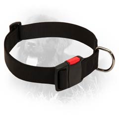 Comfy Newfoundland Nylon Collar With Tri-glide and  Quick Release Buckle