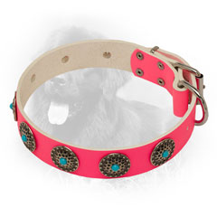 Pink Leather Newfoundland Collar with Solid Buckle