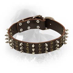 3 Rows of Spikes and Studs Decorative Newfoundland  Leather Collar