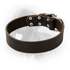 Unbelievable Newfoundland Strict Style Leather Dog  Collar