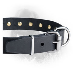 Nickel Buckle Newfoundland Dog Leather Collar