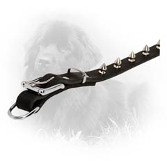 Nickel Plated Hardware Newfoundland Dog Leather Collar