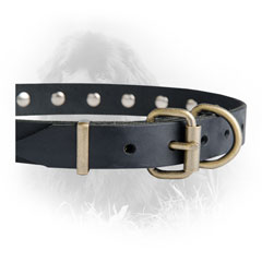 Steel Old Brass Plated Buckle on Newfoundland Leather Collar