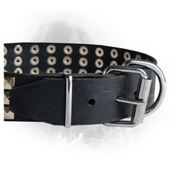 Nickel Buckle on Newfoundland Leather Collar