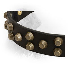 Leather Newfoundland Collar with Golden-Like Studs