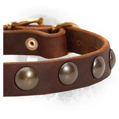 Rustproof Hardware on Newfoundland Leather Collar